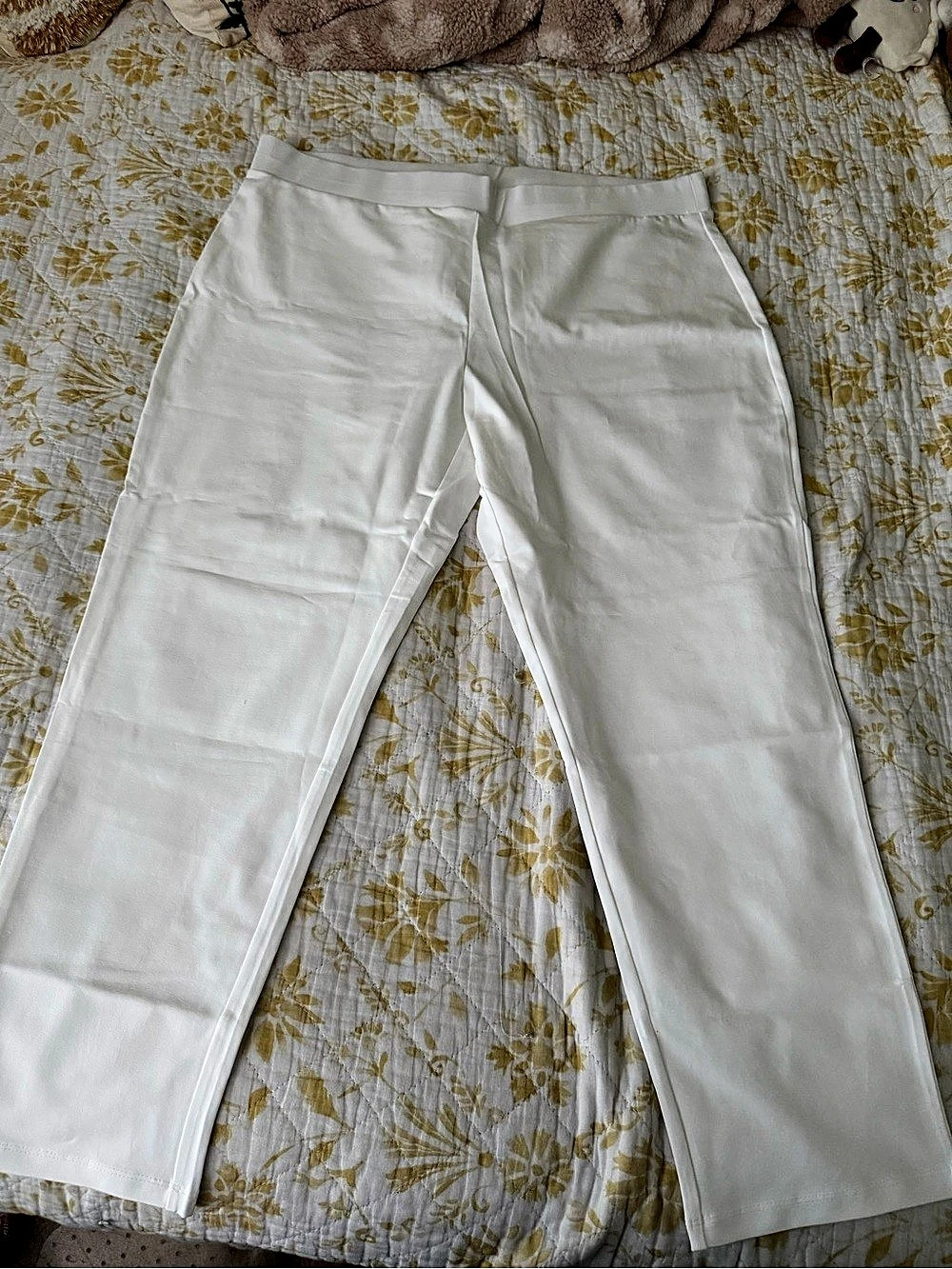 Susan Graver Straight Leg Pants in White Size XL NWT